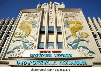 18 Taraporewala Aquarium Images, Stock Photos & Vectors | Shutterstock