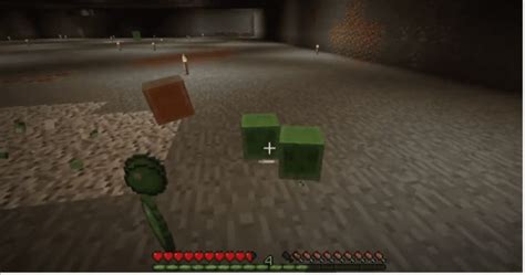 How To Find & Farm A Slime Chunk in Minecraft - BrightChamps Blog