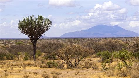 Meru National Park | Kenya National Park | Mount Meru | Kenya Safaris