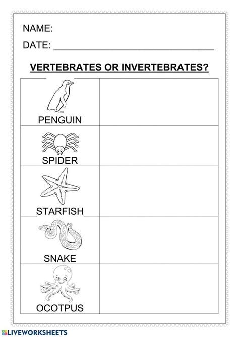 Vertebrates-invertebrates - Interactive worksheet | Vertebrates and invertebrates, Google ...