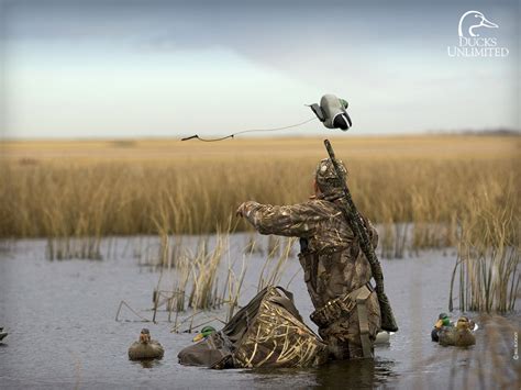 Duck Hunting Wallpaper - WallpaperSafari