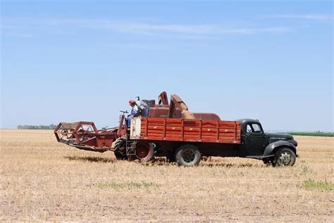 old grain trucks | ... old grain truck...not a huge semi truck like farmers use now a days ...