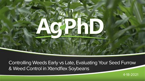 Control Weeds Early vs Late, Evaluating Seed Furrow, Weeds in XtendFlex Soybeans - 2021 - AcresTV