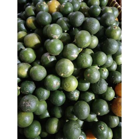 Jual buah jeruk kasturi | Shopee Indonesia