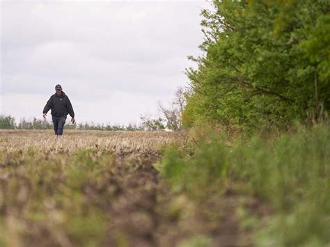 Canadian Prairies farmers try to adapt to a warming world | Philstar.com