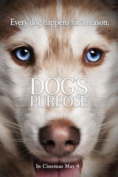 20 A Dog's Purpose Quotes ideas | a dogs purpose, dogs, a dogs purpose quotes