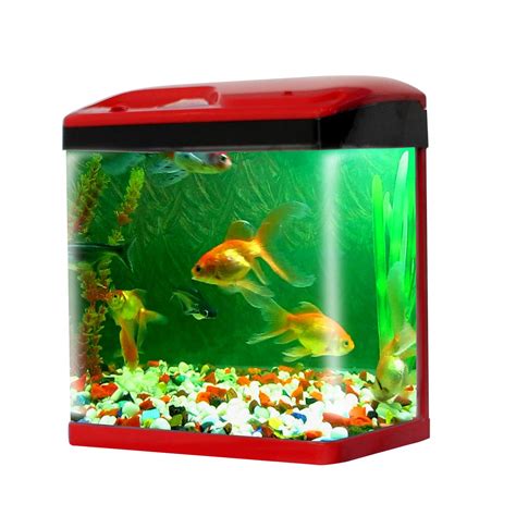 Buy JAINSONS PET PRODUCTS Fish Aquarium Small Tank-15 LTR (Colour May ...