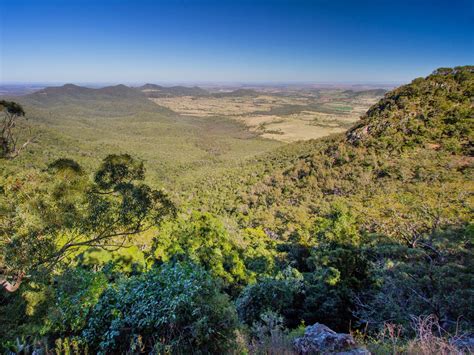 Koondaii circuit | Bunya Mountains National Park | Parks and forests | Department of Environment ...