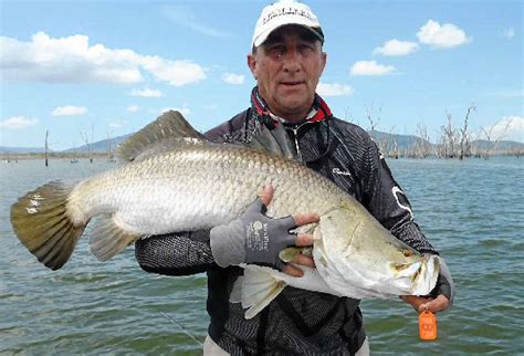 Mackay region has the best barramundi fishing in Australia | Daily Mercury