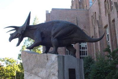 Yale Peabody Museum of Natural History, a University Museum