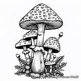 Hippie Mushroom Coloring Pages  Free & Printable sketch template