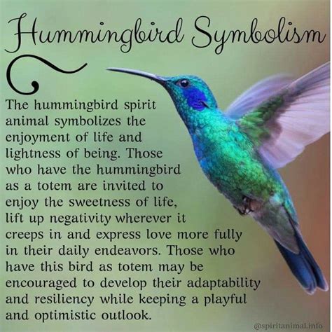 Pin on Animal Totem / Spirit Animal | Hummingbird symbolism, Bird ...