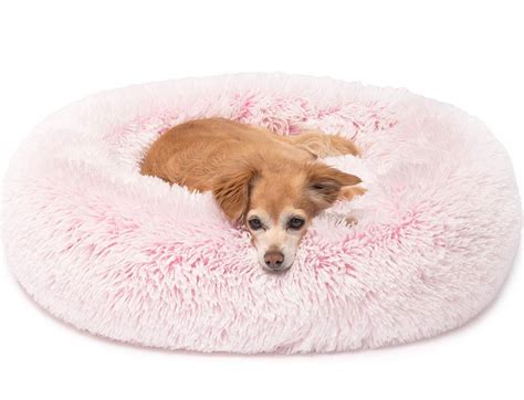 Chihuahua Beds - Chiwawa Dog