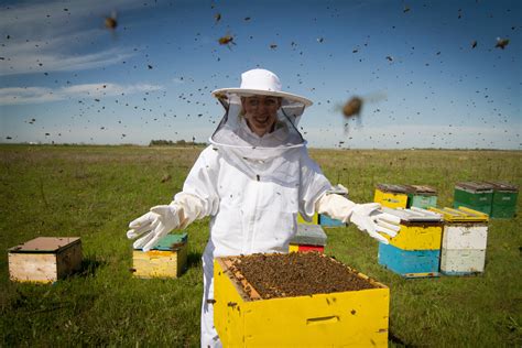 As pollination season begins, bees are taking no lunch breaks - Wild Blueberries