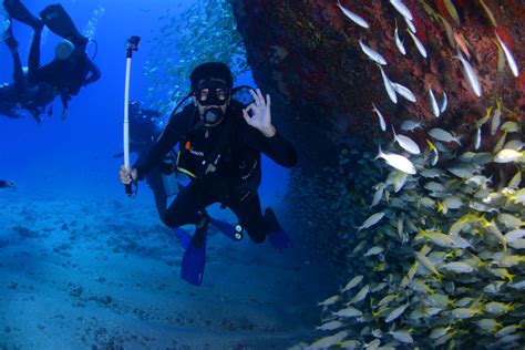 Fotos gratis : agua, Oceano, persona, buceo, biología, azul, deporte ...