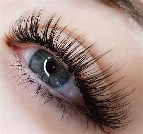 Lash Growth Cycle – Lash Affair