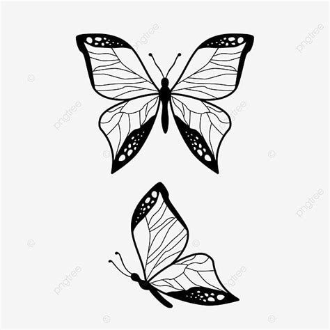 Butterfly Wing Art Silhouette, Butterfly, Wing, Silhouette PNG and ...