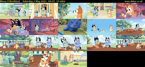 Bluey (CBeebies) - 2021-05-01-0925