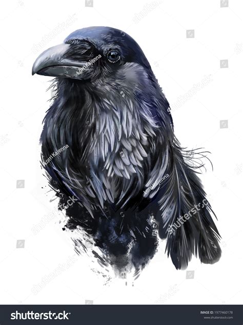 Raven Head Grunge Style Watercolor Drawing Stock Illustration ...