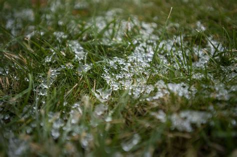 Freezing drizzle in mid-Michigan to impact evening commute - mlive.com