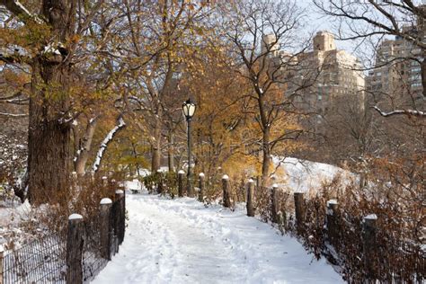 Beautiful Empty Winter Trail at Central Park Covered with Snow in New York City Stock Photo ...