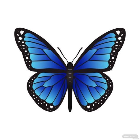 FREE Butterfly Clipart PNG: Edit Online & Download | Template.net ...