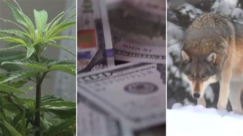 Wisconsin medical marijuana, tax cut among bills still on table | FOX6 ...