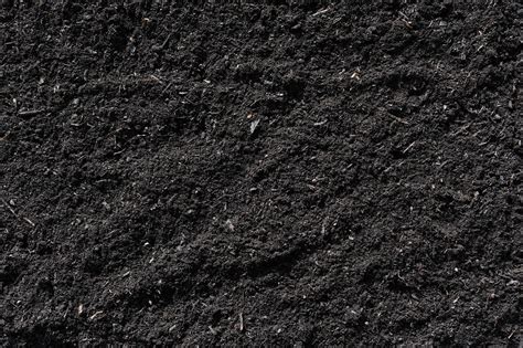 Black Earth - André Taillefer Ltd.