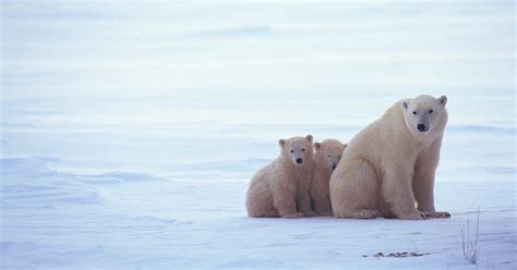 What Is a Climate Zone?