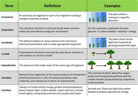 1.1 Characteristics of Living Organisms