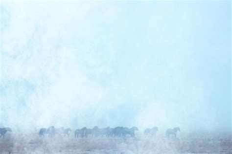 Premium Photo | Abstract blurred winter background, horses in a snowy field landscape, snow on a ...