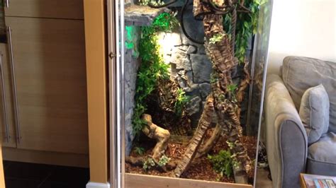 Green iguana terrarium - YouTube