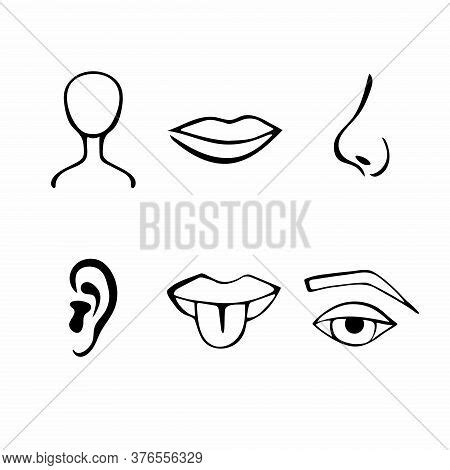 Human Body Parts Vector & Photo (Free Trial) | Bigstock