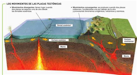 Movimientos de las placas tectónicas | Tectonica de placas, Paginas de ...