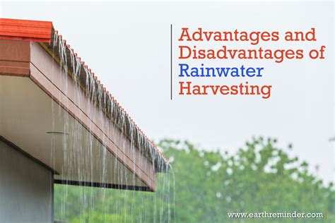 Advantages and Disadvantages of Rainwater Harvesting Earth Reminder