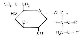 Glycolipid - Alchetron, The Free Social Encyclopedia