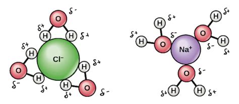 💌 Water universal solvent examples. Water Molecule & Polarity. 2022-10-24