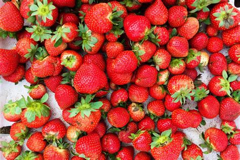 Strawberry Farm Baguio: Travel Guide (2019) - Lost and Wonder