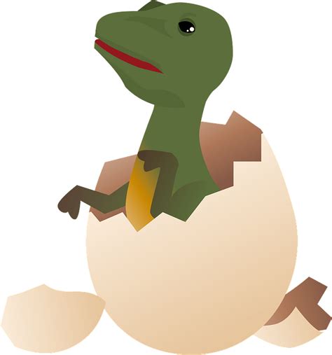 Dinosaur hatched out of egg clipart. Free download transparent .PNG | Creazilla