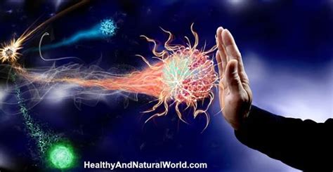 Boost Your Immune System Naturally: Herbs, Supplements and More