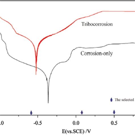 Polarization curve for Monel K500 under corrosion and tribocorrosion ...