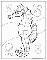 Dive Into Creativity With Sea Horse Coloring Pages sketch template