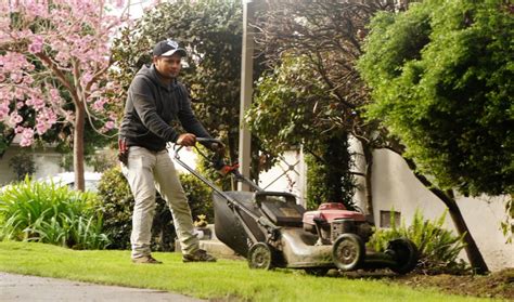 How California gardens tell an immigrant story