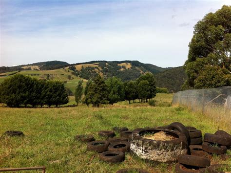 Latrobe Valley, Australia – A Bit Of Fun