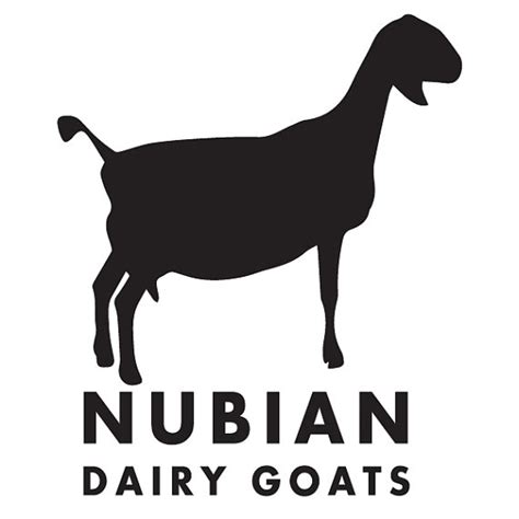 Raspberry Hill Farm | Nubian and Saanen Dairy Goats