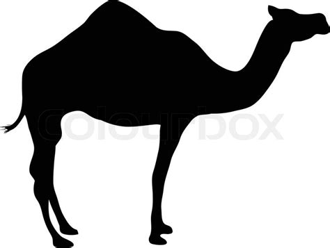 CAMEL silhouette | Stock vector | Colourbox