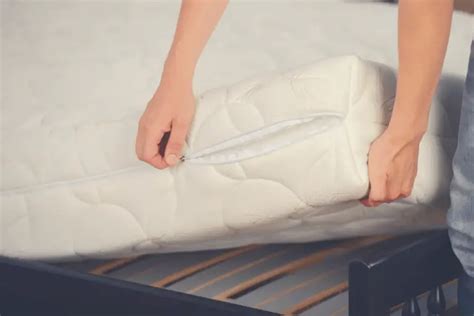 Best Bed Bug Mattress Encasement [Ultimate Buyer's Guide]