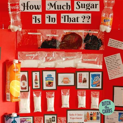 Sugar 🔬 Science Fair Project - help your kids do THIS!