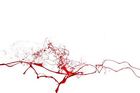 Premium Photo | Red paint splash isolated on white background.