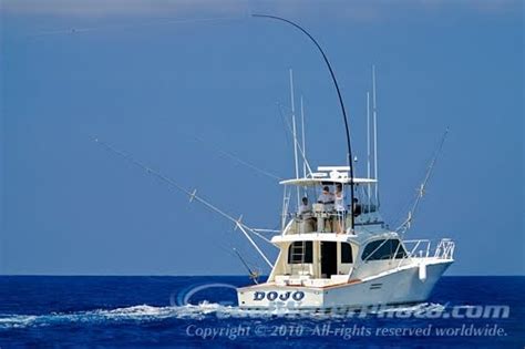 The Weekend Sportfishermen: Greenstick Tuna Fishing--Arrival in ...